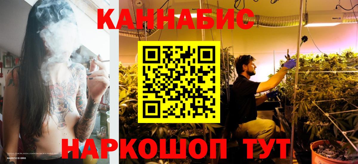 МАРИХУАНА White Widow  Шишки марихуана AK-47  Владикавказ  МАРИХУАНА THC 21%  Вход с VPN 